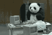 Panda Office GIF - Panda Office Destruction GIFs