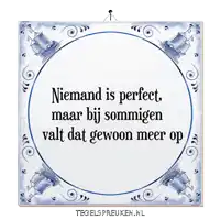 a blue and white tile that says niemand is perfect maar bij sommigen valt dat gewoon meer op