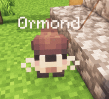 a minecraft character with the name armored