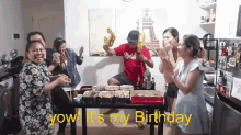 My Labs Its My Birthday GIF - My Labs Its My Birthday Happy Birthday GIFs