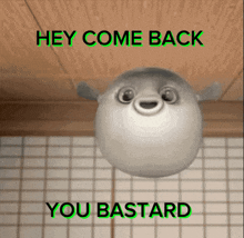 a picture of a puffer fish with the words hey come back you bastard