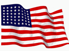 Usa Flag American GIF - Usa Flag American America GIFs