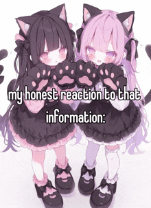 a picture of two little girls with cat ears and the words my honest reaction to that information