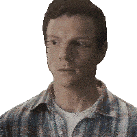 a man wearing a plaid shirt and a white shirt looks at the camera
