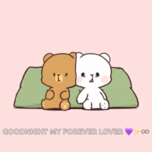 a cartoon of two teddy bears holding hands with the words goodnight my forever love