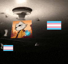 a picture of a cat with a butterfly and the transgender flag