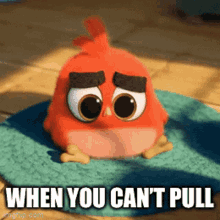an angry bird with the words when you can 't pull above it