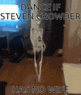 Steven Crowder GIF - Steven Crowder Steven Crowder GIFs