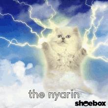 The Nyarin Nyarin GIF - The Nyarin Nyarin GIFs