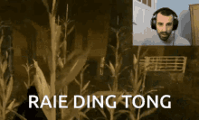 Raie Ding Tong GIF