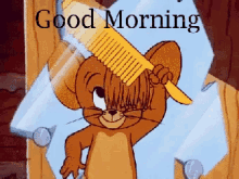 good morning tom and jerry getting ready tom comb