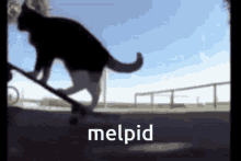Melpid GIF