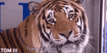tigeryo swear language cuss cussing
