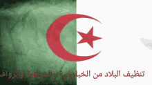 Chohada Alg Turkey GIF - Chohada Alg Turkey Flag Waving GIFs