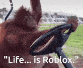 an orangutan is driving a golf cart with the words " life is roblox " on the bottom