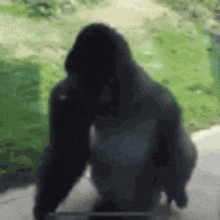 a silhouette of a gorilla standing in front of a green field .