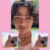 GIF