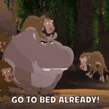 Bed Monkey GIF - Bed Monkey Hippo GIFs