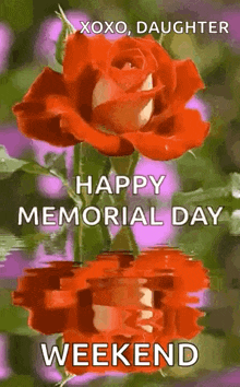 a red rose is reflected in the water on a memorial day greeting card .