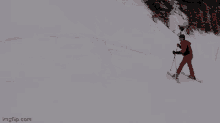 Alfie Fitch Skiing GIF