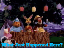 The Book Of Pooh Rabbit GIF - The Book Of Pooh Rabbit What Just Happened Here GIFs
