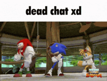 Sonic Boom Dead Chat Xd GIF