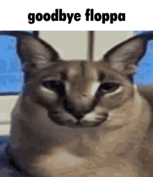 floppa disappear goodbye