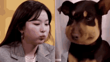 Seulgi Red Velvet GIF - Seulgi Red Velvet Dog GIFs