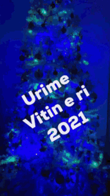 Urimeviti2021 Vitiri2021 GIF - Urimeviti2021 Vitiri2021 GIFs