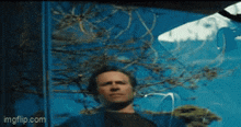 a man is standing in front of a blue wall with a tree in the background