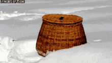 Dog In A Basket GIF - Cold Dog Snow GIFs