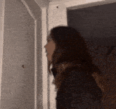 a woman is standing in front of a door with a bug on it .