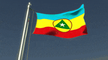 a blue yellow and red flag with a green star on it