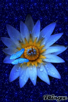 Flower Butterfly GIF - Flower Butterfly Glitter GIFs