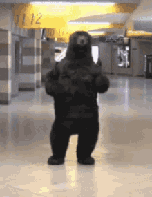 Boston Bruins Bear GIF - Boston Bruins Bear Dancing GIFs