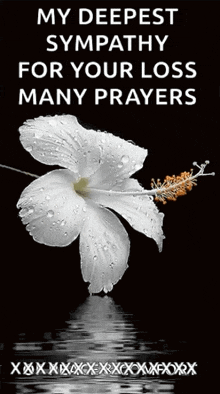 a white flower with water drops on it is on a black background with the words my deepest sympathy for your loss many prayers
