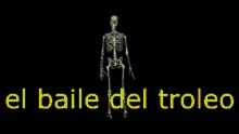 Baile Del Trolleo GIF - Baile Del Trolleo GIFs