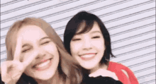 two women are standing next to each other and smiling .