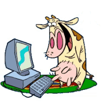 Cow Typing GIF - Cow Typing Happy GIFs