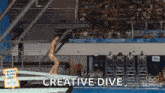 Diving Diver GIF