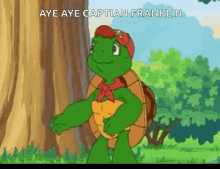 hands up turtle aye aye captain franklin got it alright