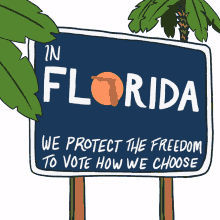 in florida we protect the freedom to vote how we choose florida fl florida voters vrl