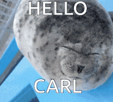 Carl Seal GIF - Carl Seal GIFs