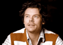 harry styles is wearing a striped vest and plaid shirt and looking up .