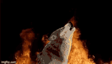 Wolf Fire GIF