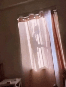 The Man Behind The Window GIF