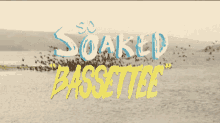 Sosoaked Bassettee GIF - Sosoaked Bassettee Water GIFs