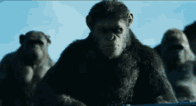 Squad Is Here GIF - War For The Planet Of The Apes Caesar Andy Serkis GIFs