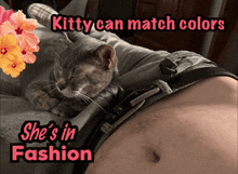 a cat laying on a man 's stomach with the words kitty can match colors she 's in fashion below it