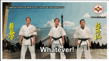 Ikak Kyokushinryu GIF - Ikak Kyokushinryu Whatever GIFs
